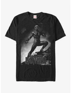 Boxlunch Marvel Black Panther 2018 Grayscale Pose T-Shirt