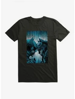 Boxlunch DC Comics Batman And Catwoman Rain T-Shirt