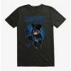 Boxlunch DC Comics Batman Nightwing T-Shirt